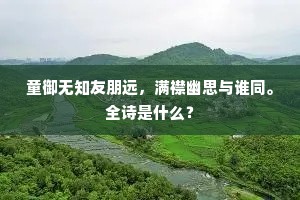 童御无知友朋远，满襟幽思与谁同。全诗是什么？