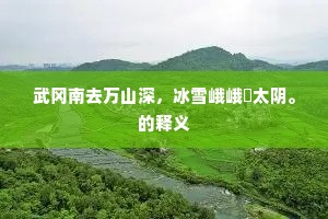 武冈南去万山深，冰雪峨峨閟太阴。的释义