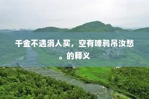 千金不遇涓人买，空有啼鸦吊汝愁。的释义
