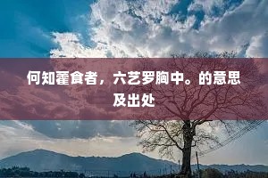 何知藿食者，六艺罗胸中。的意思及出处