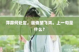 萍踪何处定，徙倚望飞鸿。上一句是什么？