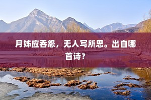 月姊应吞怨，无人写所思。出自哪首诗？