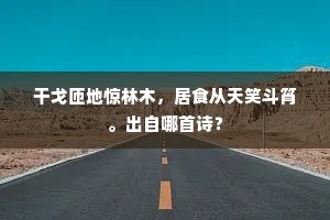 干戈匝地惊林木，居食从天笑斗筲。出自哪首诗？