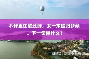 不辞更住醒还醉，太一东峰归梦频。下一句是什么？