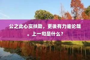 公之此心实扶助,更後有力谁论哉。上一句是什么? 公之此心实扶助,更後有力谁论哉。上一句是什么?