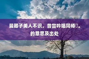 曼卿子美人不识，昔尝吟唱同樽罍。的意思及出处