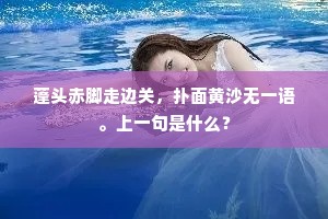 蓬头赤脚走边关，扑面黄沙无一语。上一句是什么？