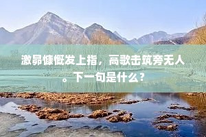 激昴慷慨发上指,高歌击筑旁无人。下一句是什么? 激昴慷慨发上指,高歌击筑旁无人。下一句是什么?