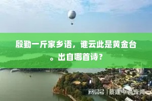 殷勤一斤家乡语，谁云此是黄金台。出自哪首诗？