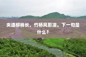 夹道柳梢长，竹桥风影凉。下一句是什么？