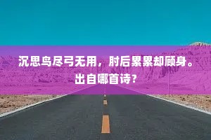 沉思鸟尽弓无用，肘后累累却顾身。出自哪首诗？