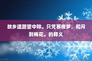 故乡道路望中赊。只凭寒夜梦，和月到梅花。的释义