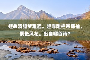短衾清睡梦难遮。起靠雕栏寒薄袖，惆怅风花。出自哪首诗？