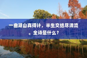 一曲湖山真得计，半生交结尽清流。全诗是什么？
