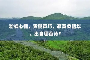 粉蝶心慵，黄鹂声巧，寂寞负韶华。出自哪首诗？