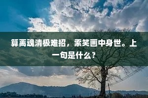 算离魂清极难招，索笑画中身世。上一句是什么？