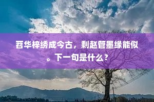 苕华梓绣成今古，剩赵管墨缘能似。下一句是什么？