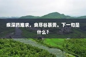 疾深药难求，食尽谷暴贵。下一句是什么？