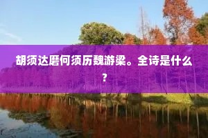 胡须达磨何须历魏游梁。全诗是什么？