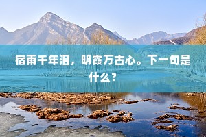 宿雨千年泪，明霞万古心。下一句是什么？