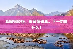 秋霜撼陵谷，艰哉慈母寡。下一句是什么？
