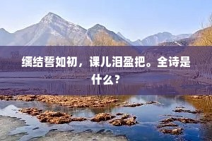 缡结誓如初，课儿泪盈把。全诗是什么？