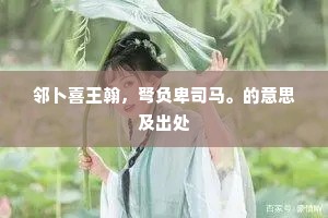 邻卜喜王翰，弩负卑司马。的意思及出处