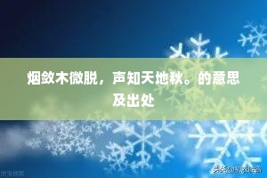 烟敛木微脱，声知天地秋。的意思及出处