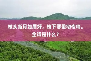 枝头新月如眉好，枝下寒蛩彻夜啼。全诗是什么？