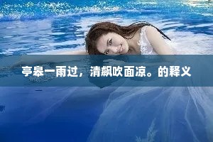 亭皋一雨过，清飙吹面凉。的释义