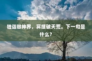 独诣敞神界，冥搜破天荒。下一句是什么？