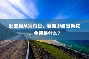 此去相从须有日，裂笺聊当寄梅花。全诗是什么？