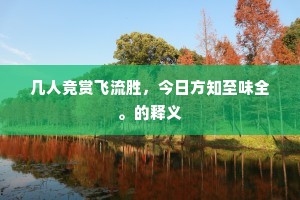 几人竞赏飞流胜，今日方知至味全。的释义