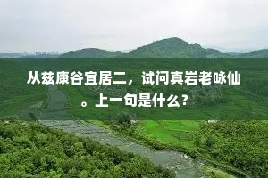 从兹康谷宜居二，试问真岩老咏仙。上一句是什么？