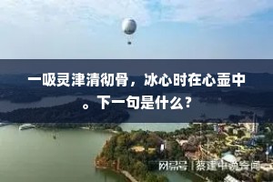 一吸灵津清彻骨，冰心时在心壶中。下一句是什么？