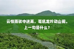 云惊雨骇中迷离，鼍吼龙吟动山阁。上一句是什么？