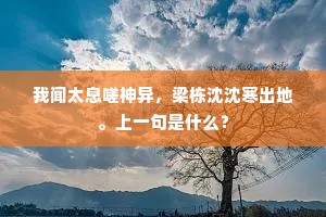 我闻太息嗟神异，梁栋沈沈寒出地。上一句是什么？