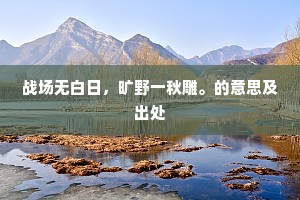 战场无白日，旷野一秋雕。的意思及出处