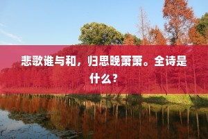 悲歌谁与和，归思晚萧萧。全诗是什么？