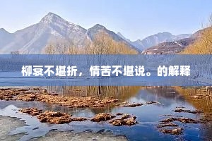 柳衰不堪折，情苦不堪说。的解释