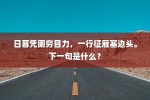 日暮凭阑穷目力，一行征雁塞边头。下一句是什么？