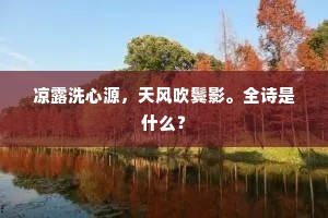 凉露洗心源，天风吹鬓影。全诗是什么？