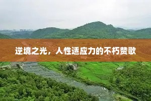 逆境之光，人性适应力的不朽赞歌