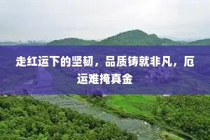走红运下的坚韧，品质铸就非凡，厄运难掩真金