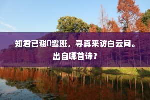 知君已谢鹓鹭班，寻真来访白云间。出自哪首诗？