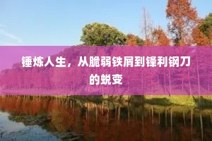 锤炼人生，从脆弱铁屑到锋利钢刀的蜕变