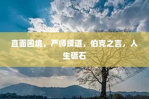 直面困境，严师授道，伯克之言，人生砺石