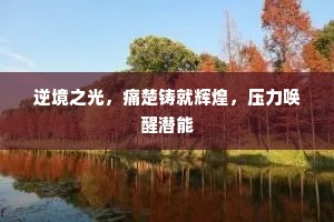 逆境之光，痛楚铸就辉煌，压力唤醒潜能