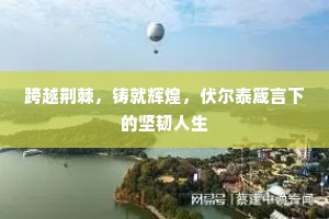 跨越荆棘，铸就辉煌，伏尔泰箴言下的坚韧人生