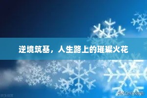 逆境筑基，人生路上的璀璨火花